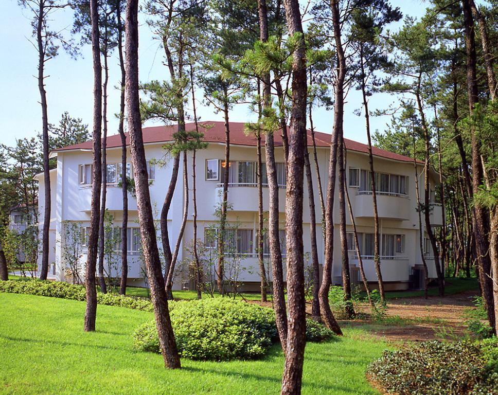 Cottage Himuka Miyazaki Δωμάτιο φωτογραφία
